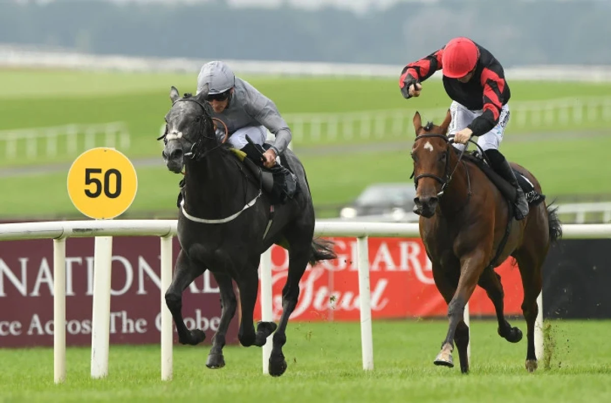 Fallen Angel ridden by Daniel Tudhope (left) wins the Moyglare Stud Stakes at Curragh Racecourse - Sept 2023