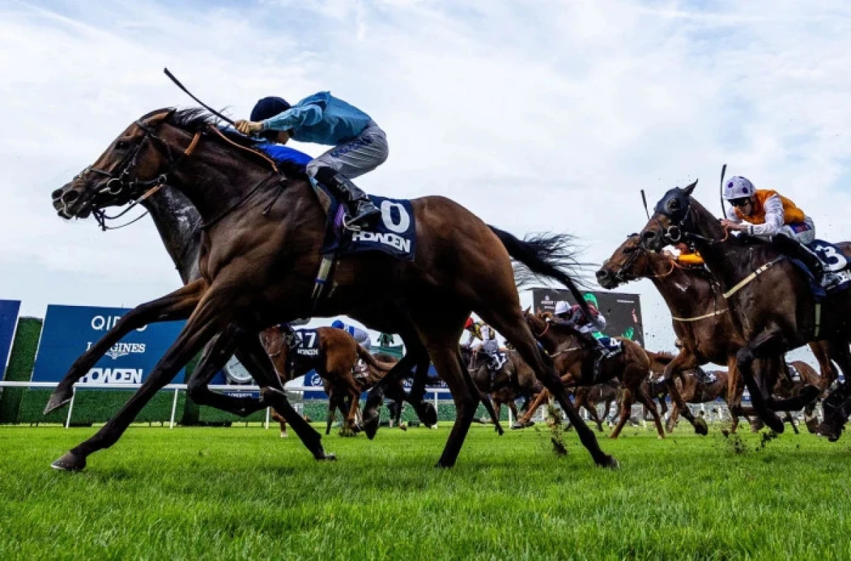 Atrium ridden by jockey Harry Davies at Ascot