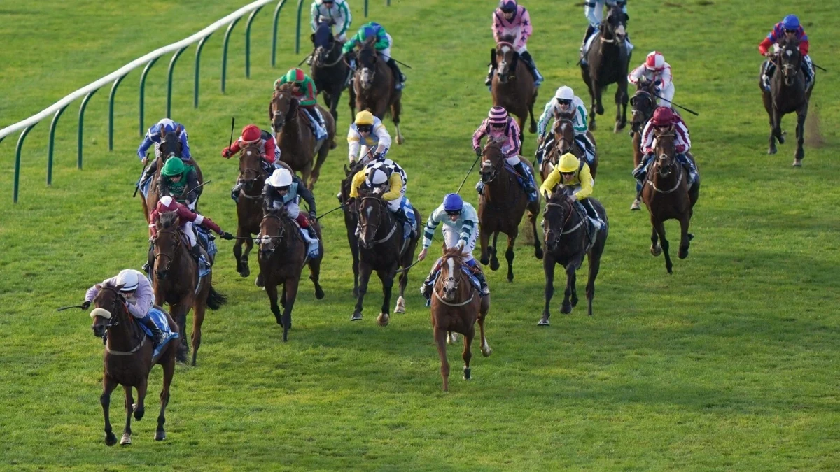 Run for Oscar (bottom-left) ridden by David Egan on way to winning Cesarewitch Handicap