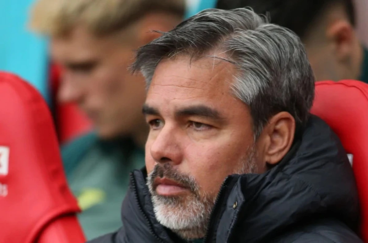 Norwich manager David Wagner
