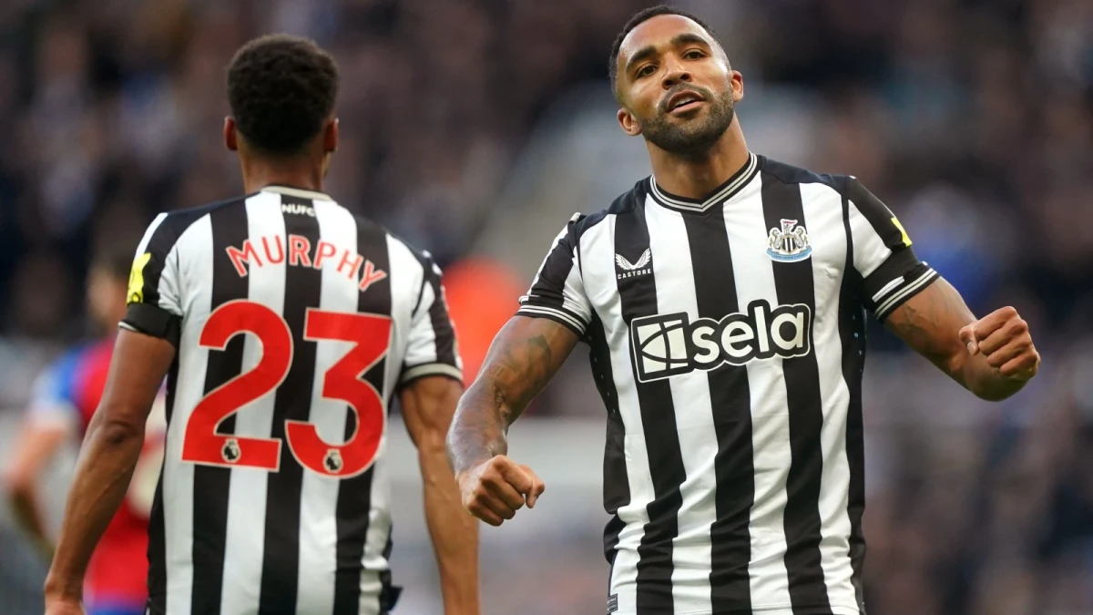 Callum Wilson celebrates