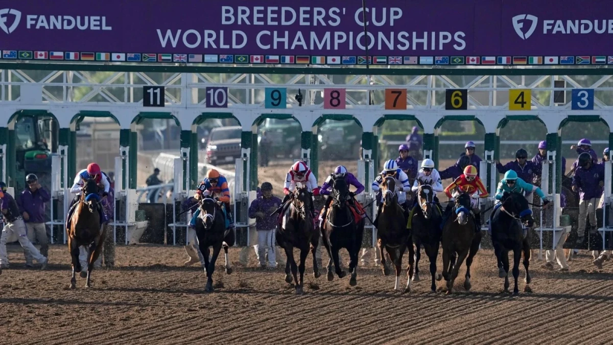 Breeders' Cup Juvenile at Santa Anita