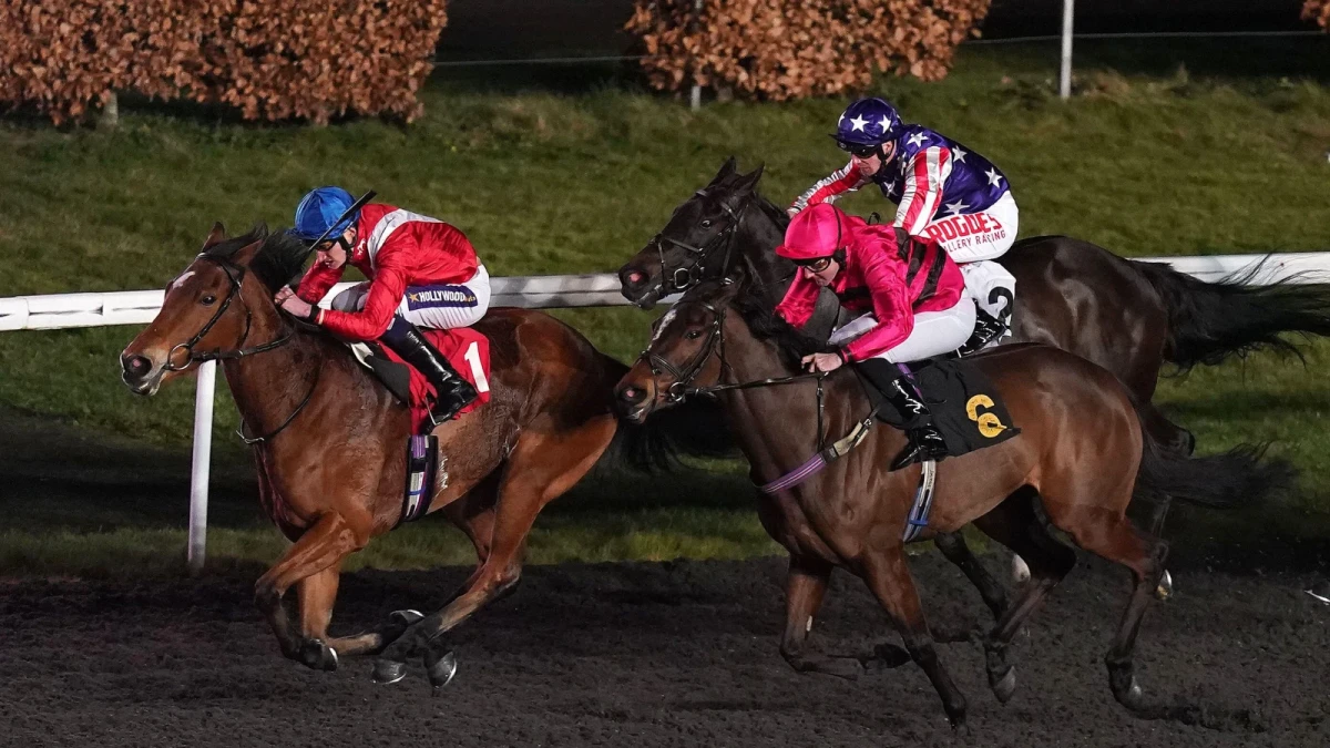 Unibet Fillies Handicap