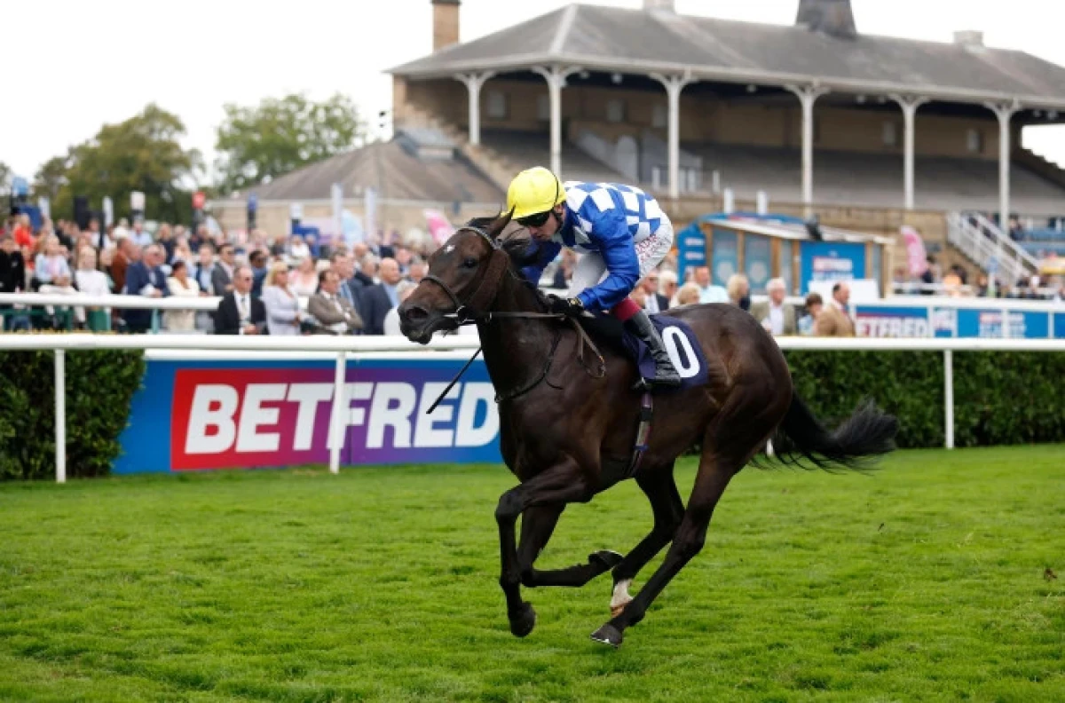 Matilda Picotte and Oisin Murphy coming home to win the Japan Racing Association Sceptre Fillies' Stakes - Sept 2023