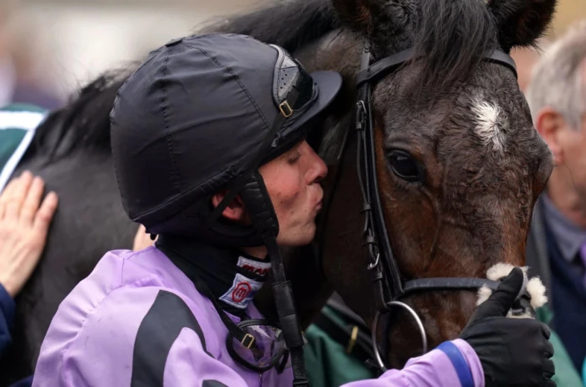 Stage Star and jockey Harry Cobden