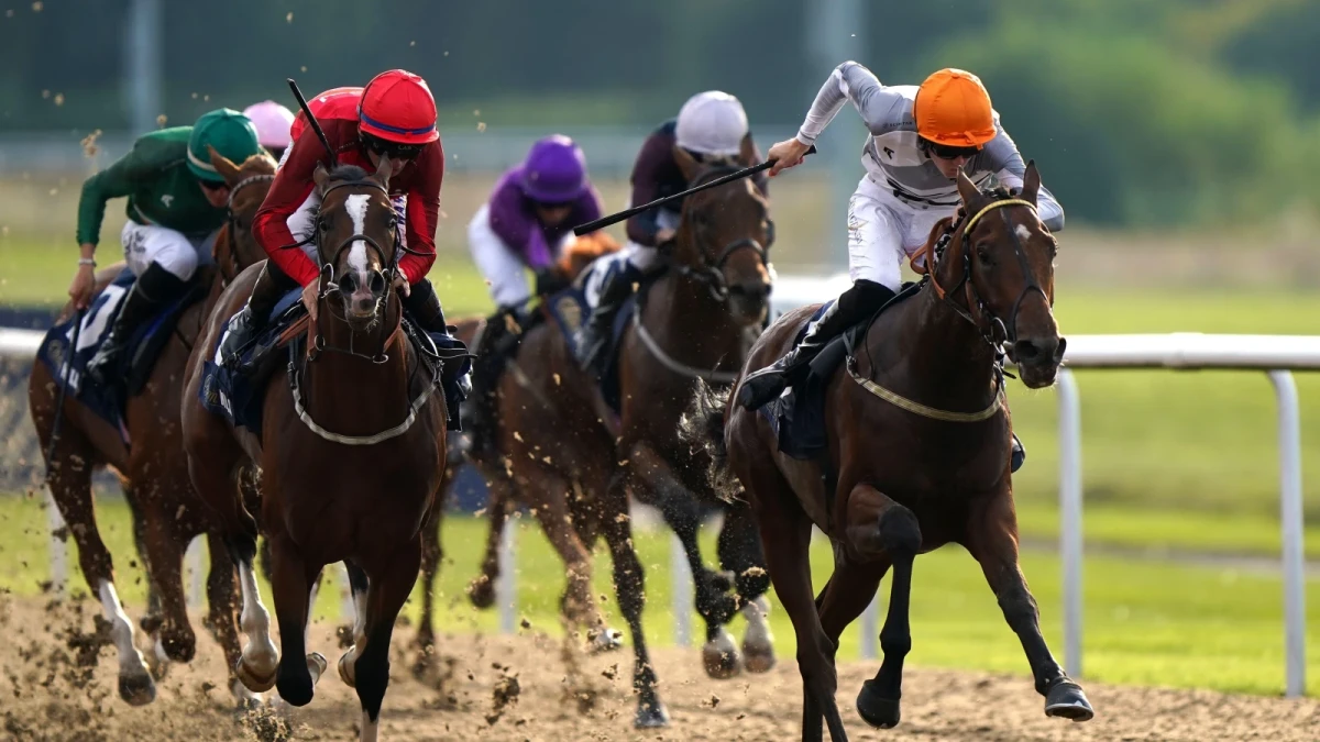 Wolverhampton racecourse