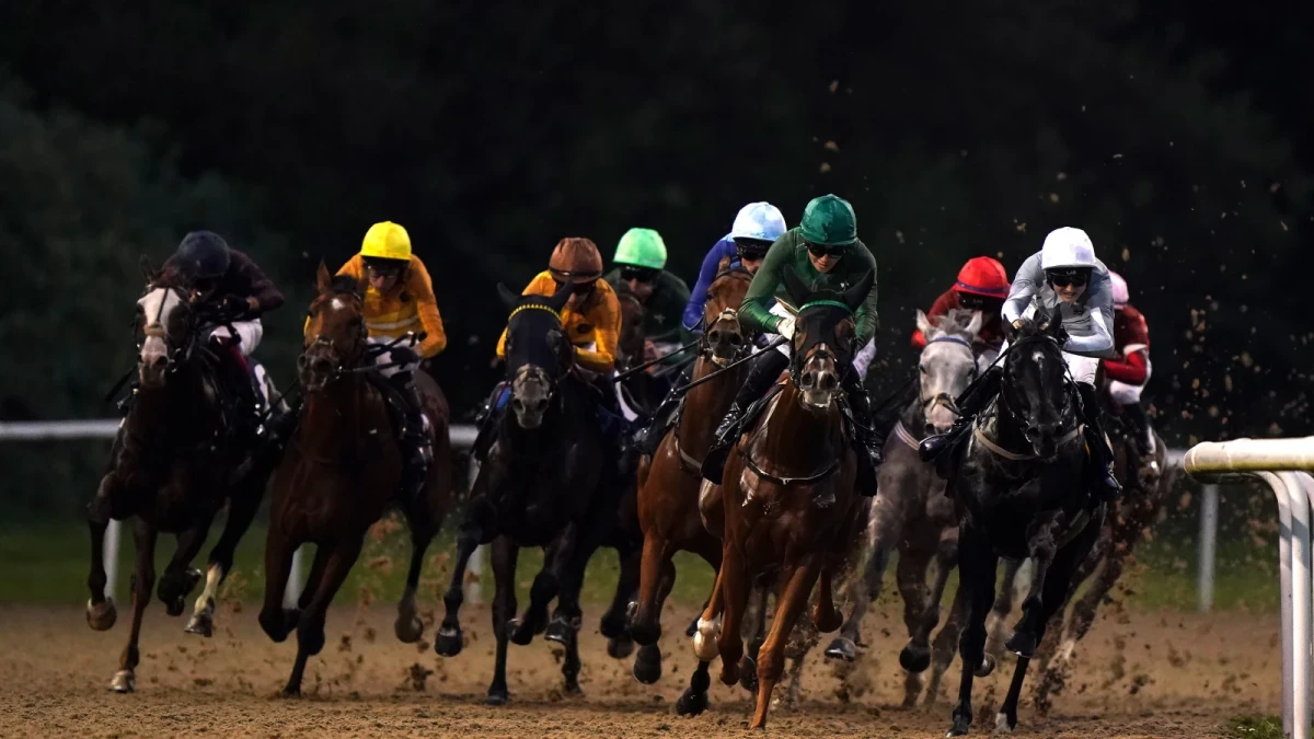 Runners and riders at Wolverhampton