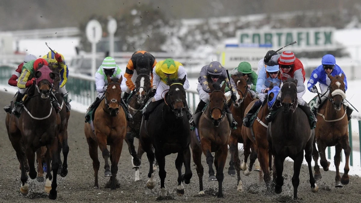 Handicap Stakes at Lingfield