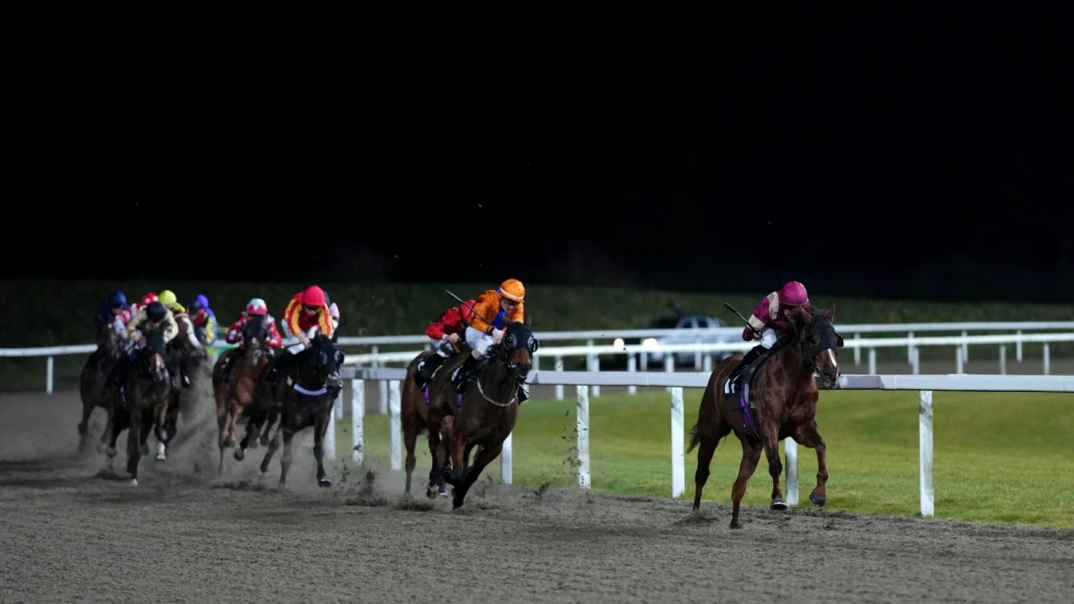 Chelmsford City racecourse