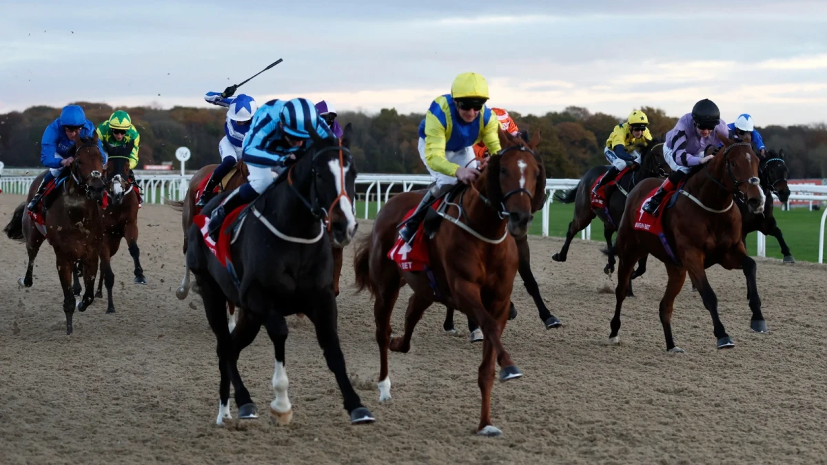 Runners and riders at Newcastle racecourse