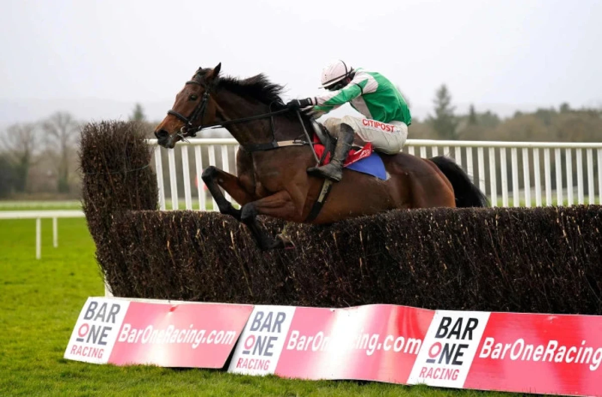 Silent Approach ridden by jockey Danny Mullins on their way to winning the O’Flynn Group Irish EBF Mares Novice Chase - Dec 2023