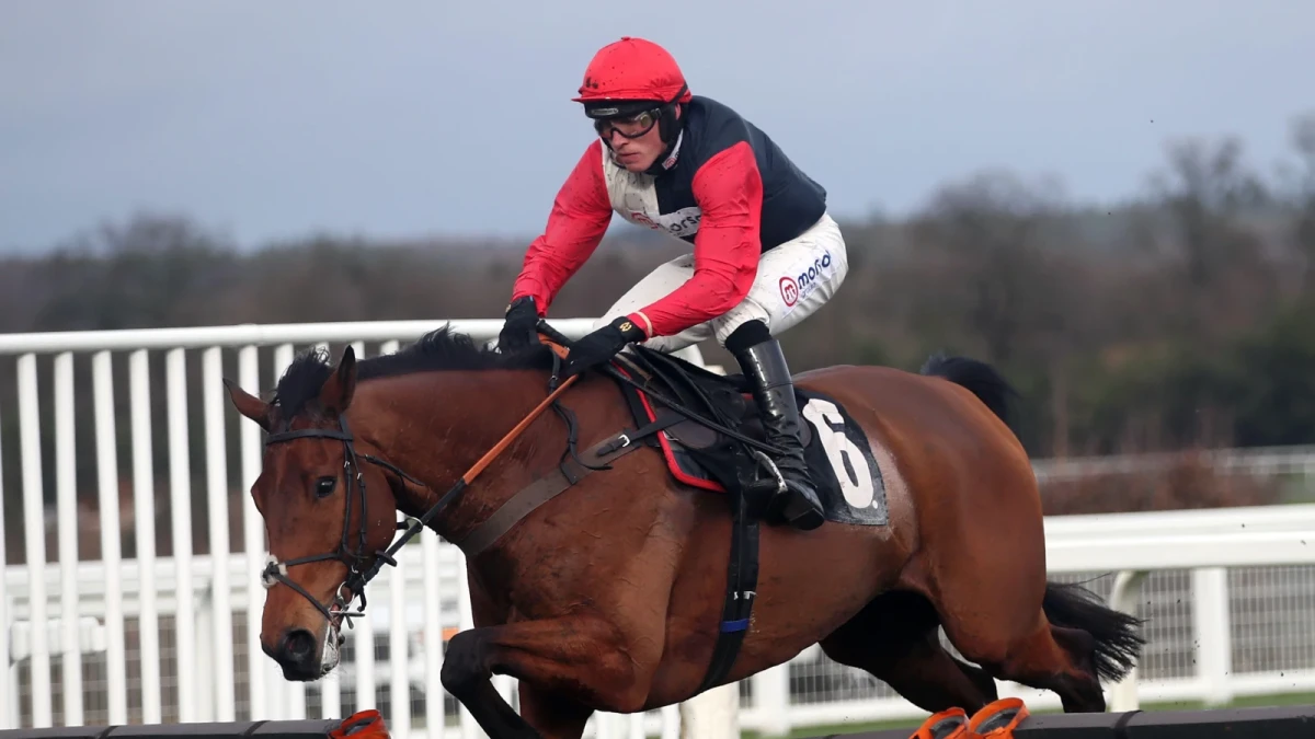 Cap Du Mathan ridden by Harry Cobden