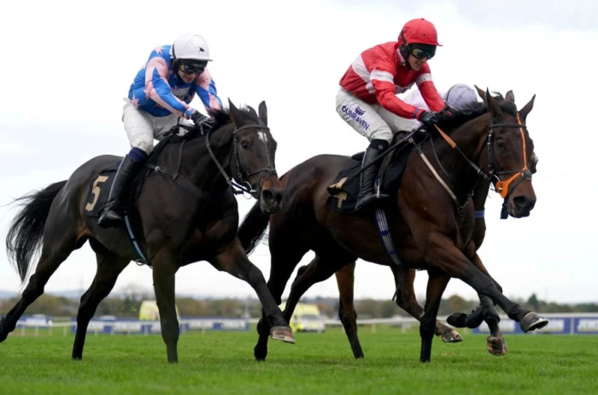 Crambo ridden by Connor Brace