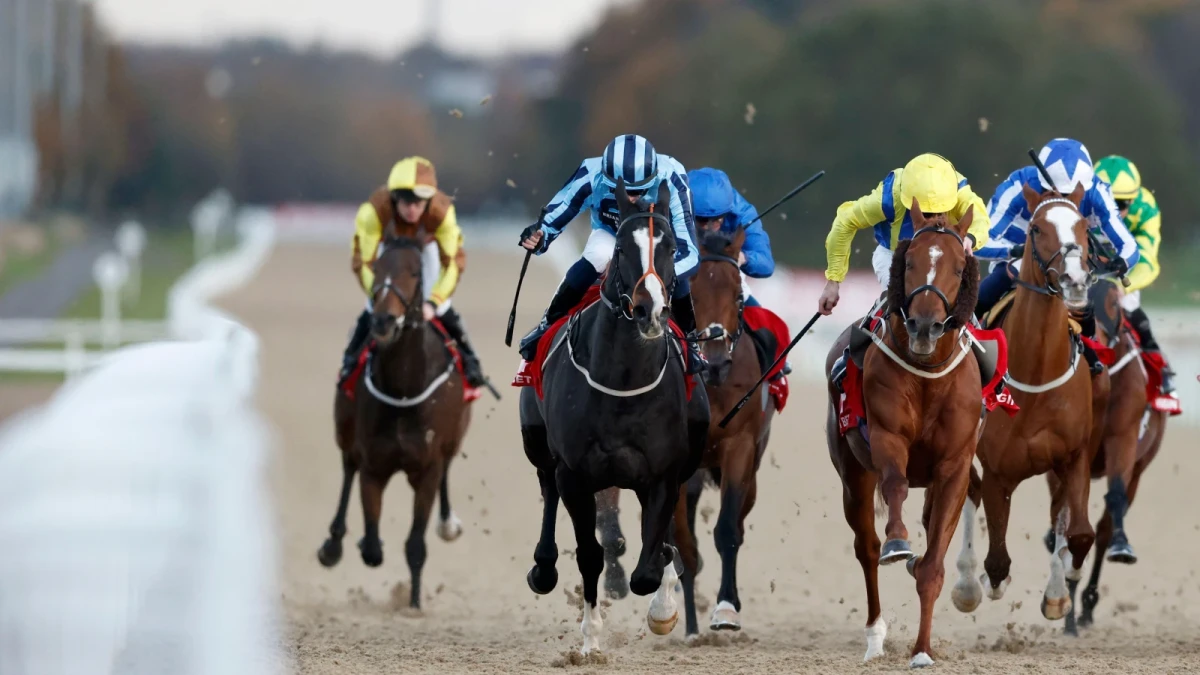 Newcastle racecourse