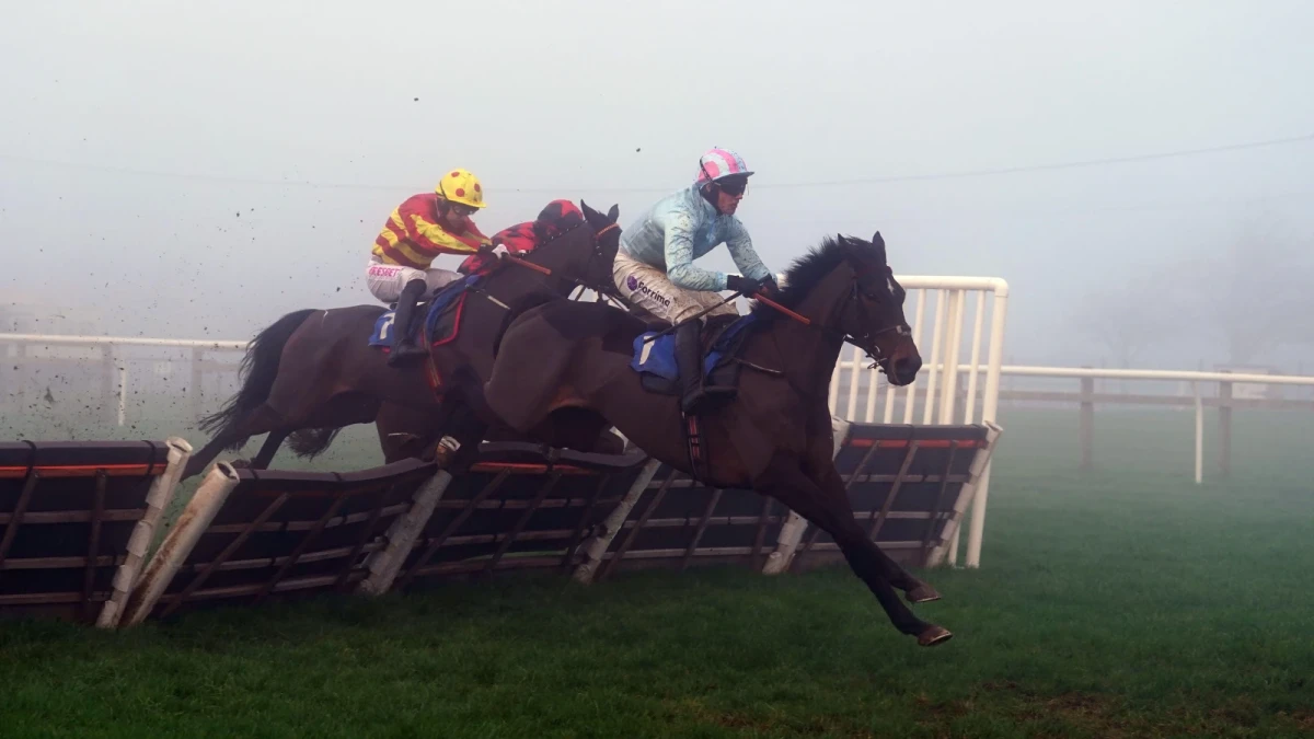Handicap Hurdle at Wincanton racecourse