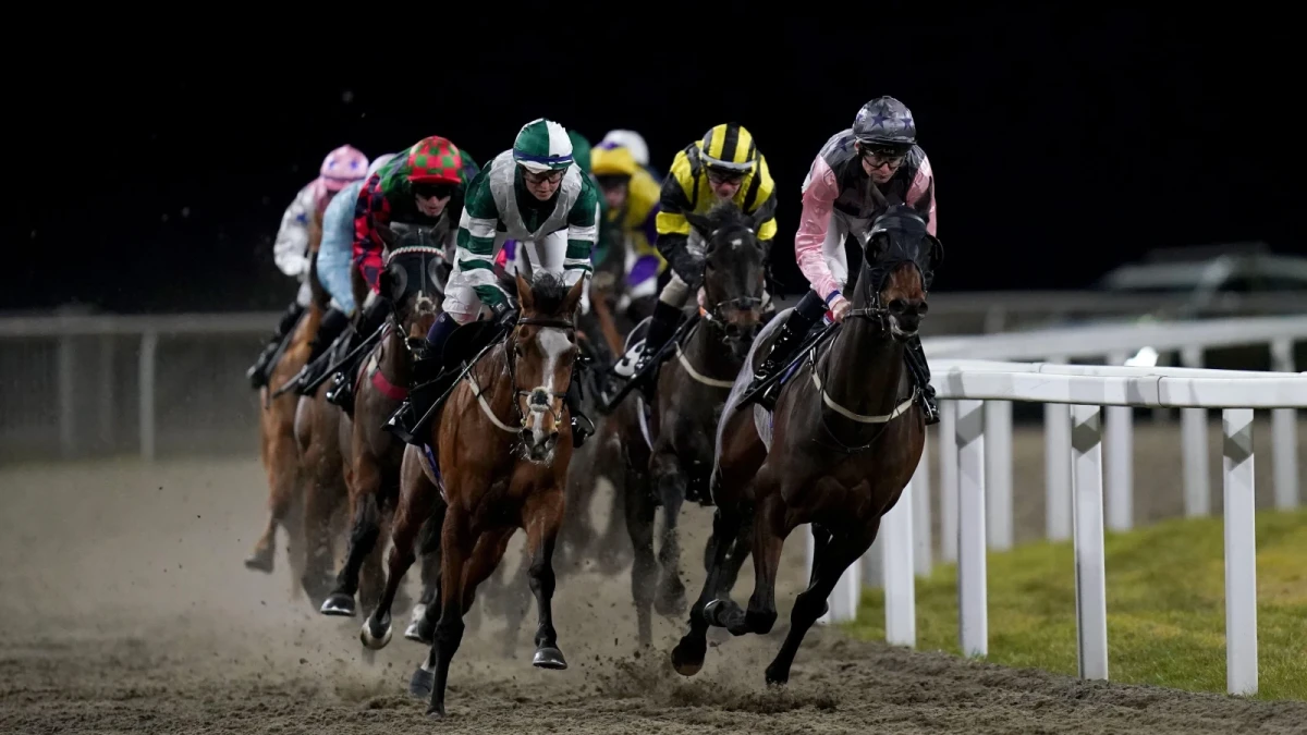 Chelmsford racecourse