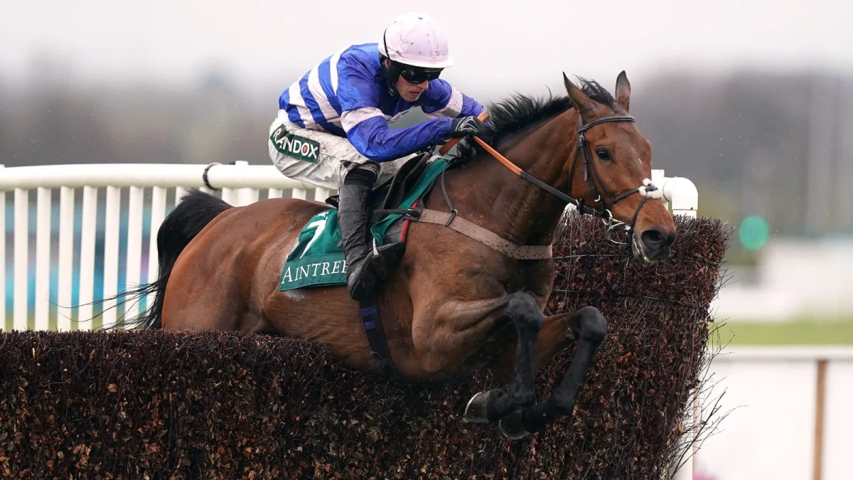 Pic D'Orhy ridden by jockey Harry Cobden at Aintree