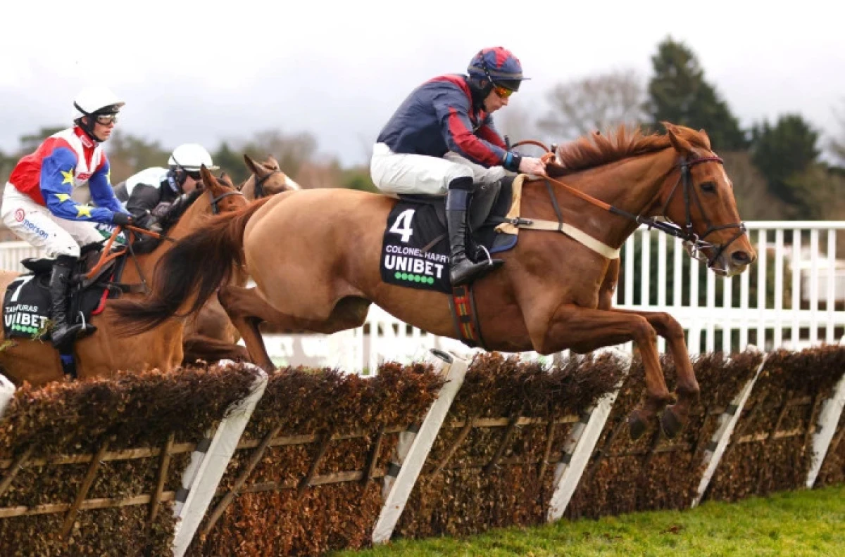 Colonel Harry ridden by jockey Gavin Sheehan