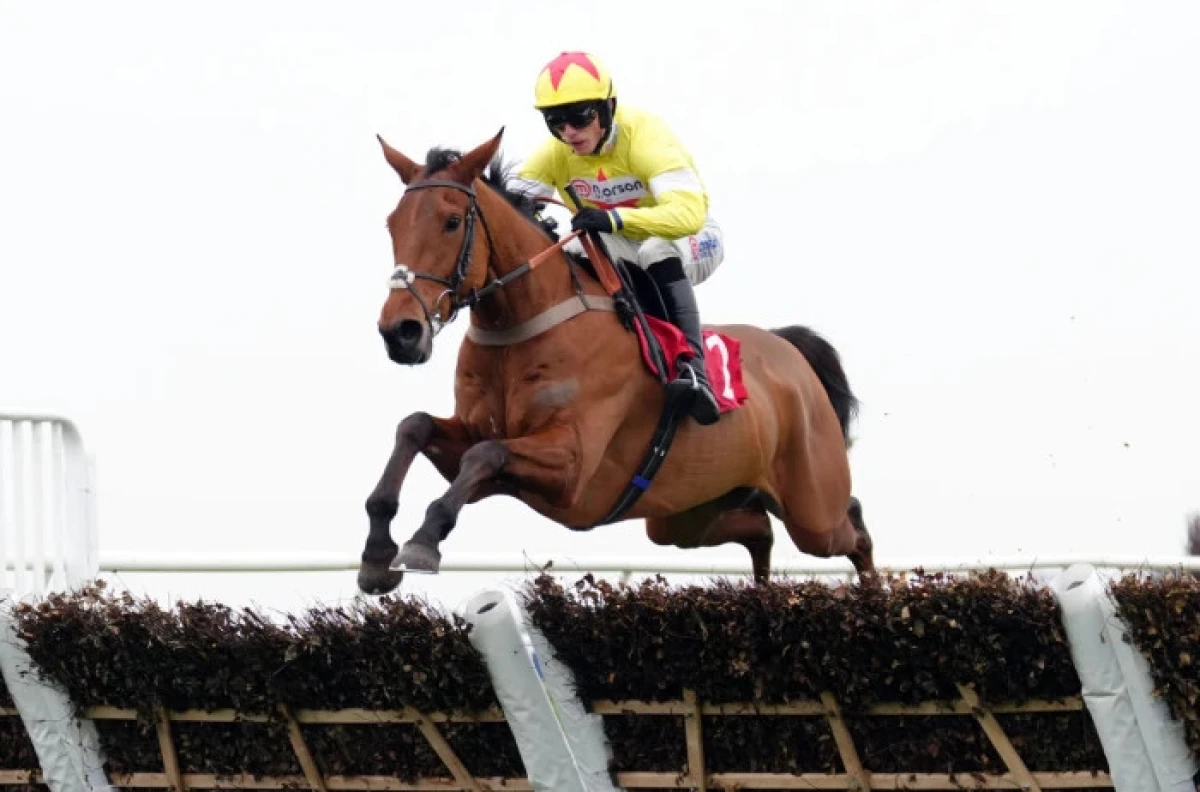 Kalif Du Berlais ridden by Harry Cobden at Kempton