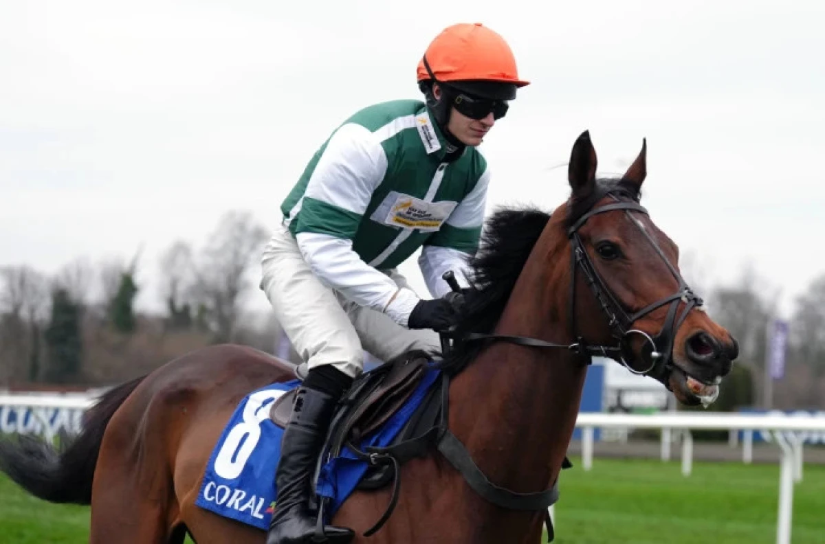 Jay Jay Reilly ridden by Tristan Durrell at Kempton