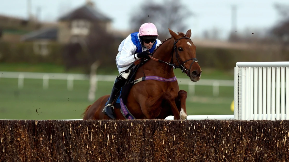 Handicap Chase at Kelso racecourse
