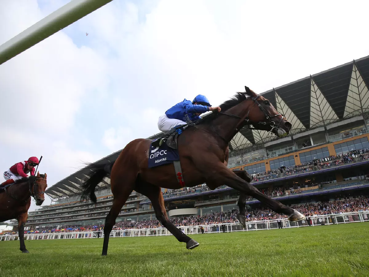 Adayar ridden by William Buick wins the King George VI and Queen Elizabeth Stakes