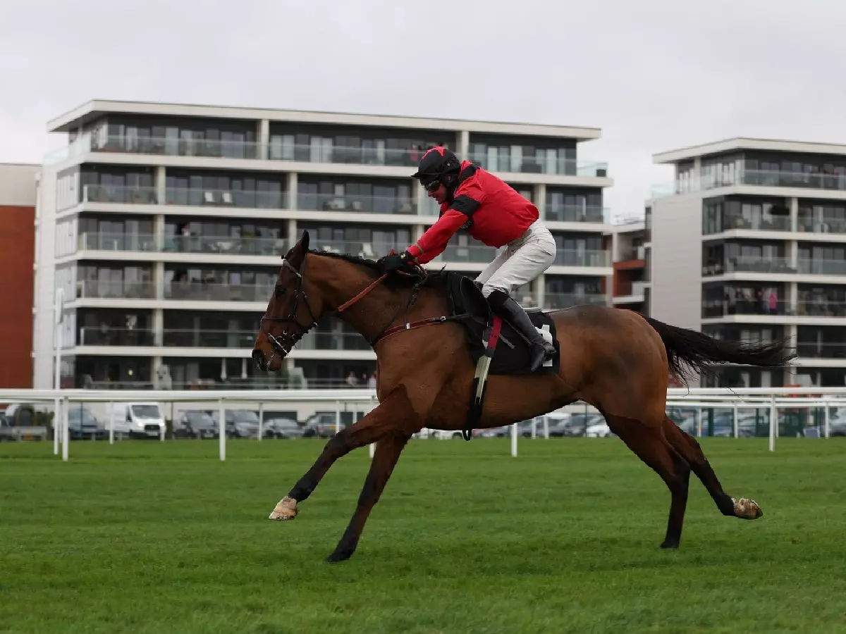 Ahoy Senor and Derek Fox in winning action at Newbury (November 2021)