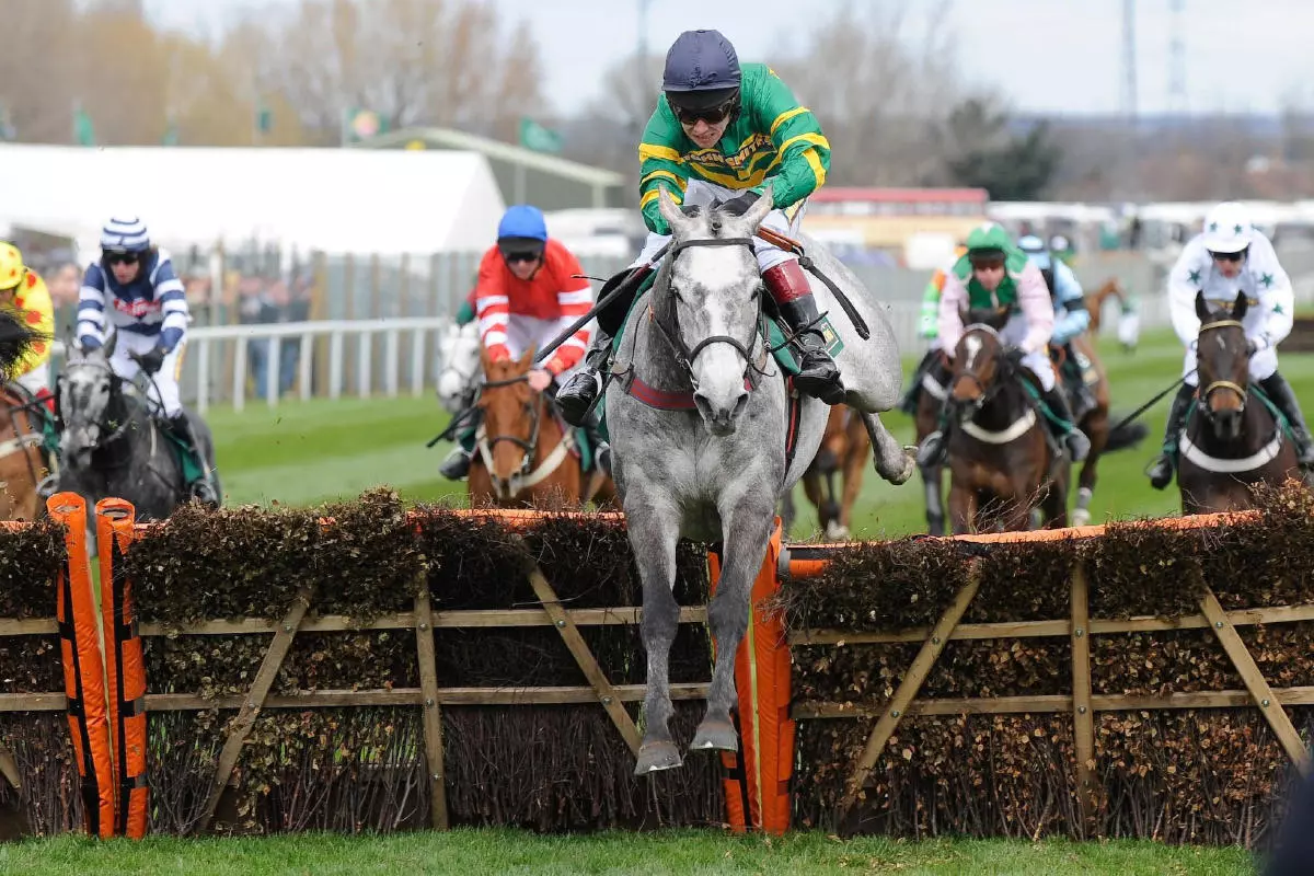 Aintree hurdles