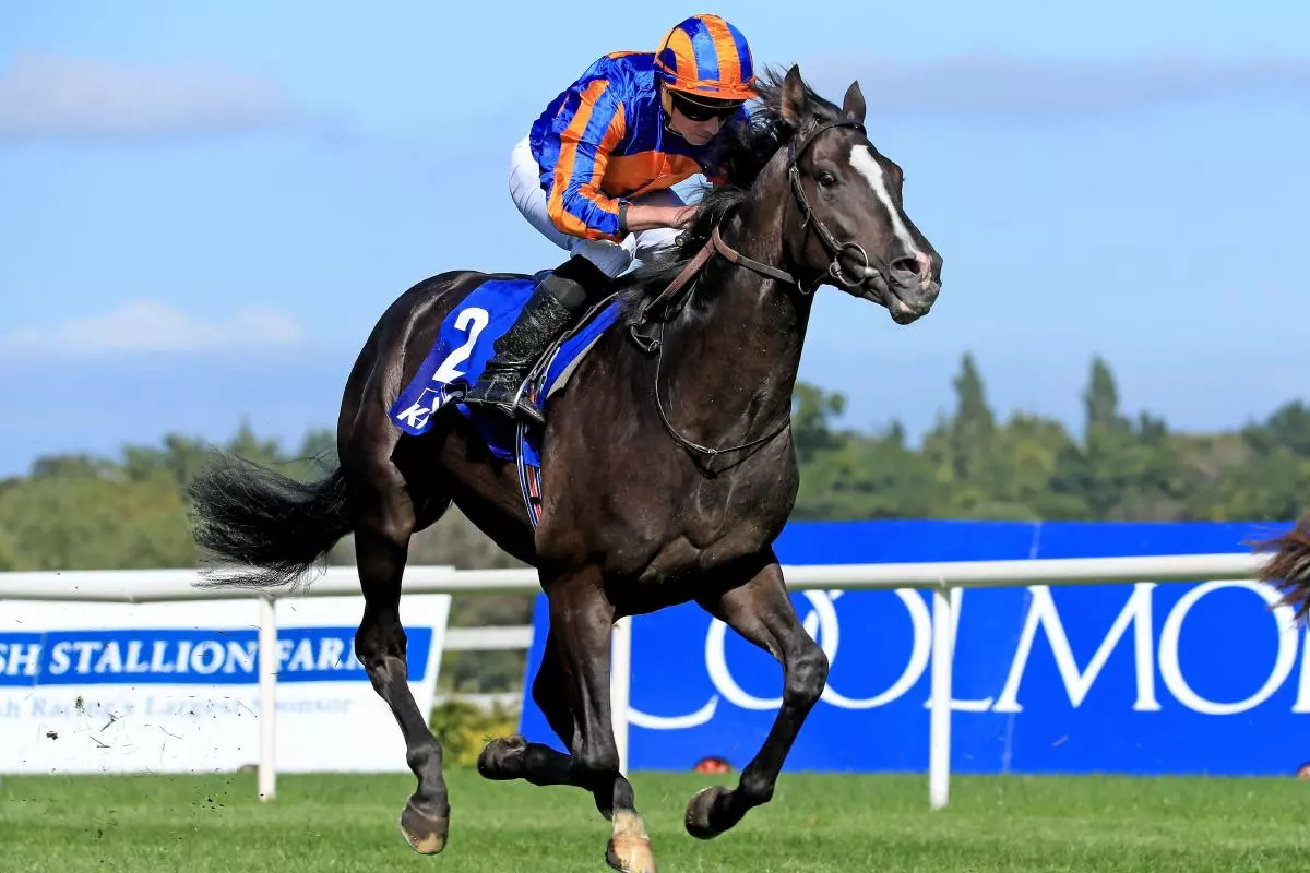 Auguste Rodin and Ryan Moore