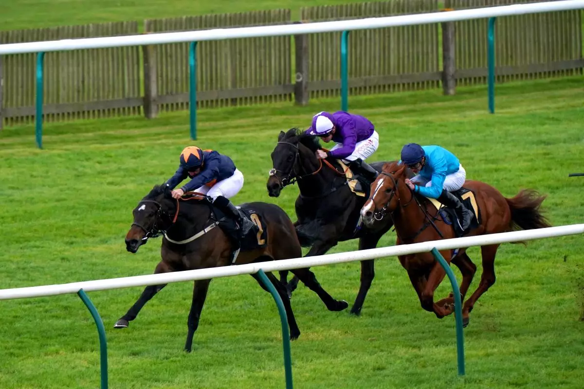 Blue Storm ridden by jockey Neil Callan on their way to winning - May 2023