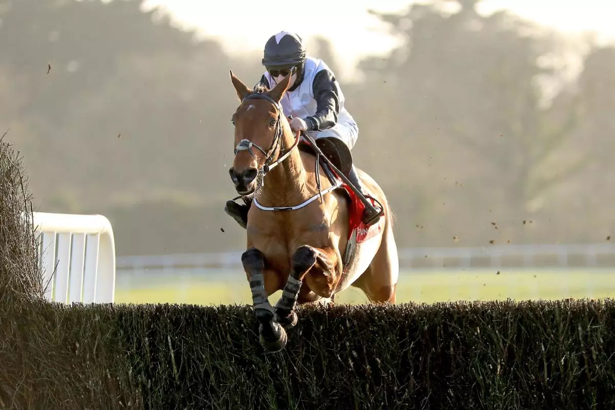 Bob Olinger ridden by Rachael Blackmore