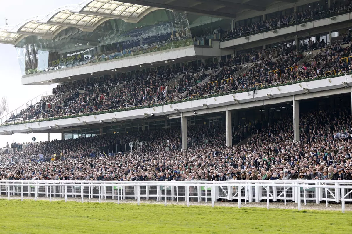 Cheltenham Festival stands