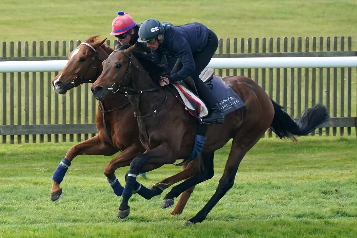 Cicero's Gift gallops on the Rowley Mile at Newmarket