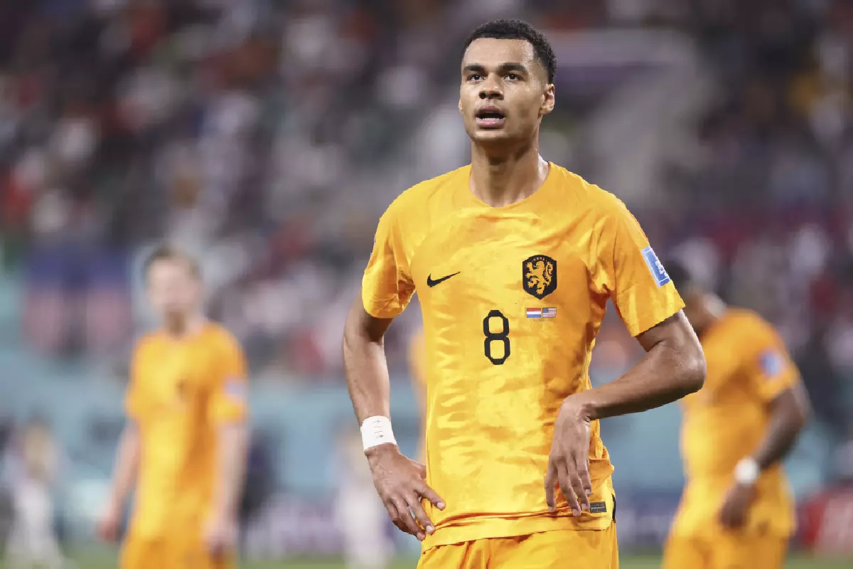 Cody Gakpo for Netherlands World Cup Dec 22