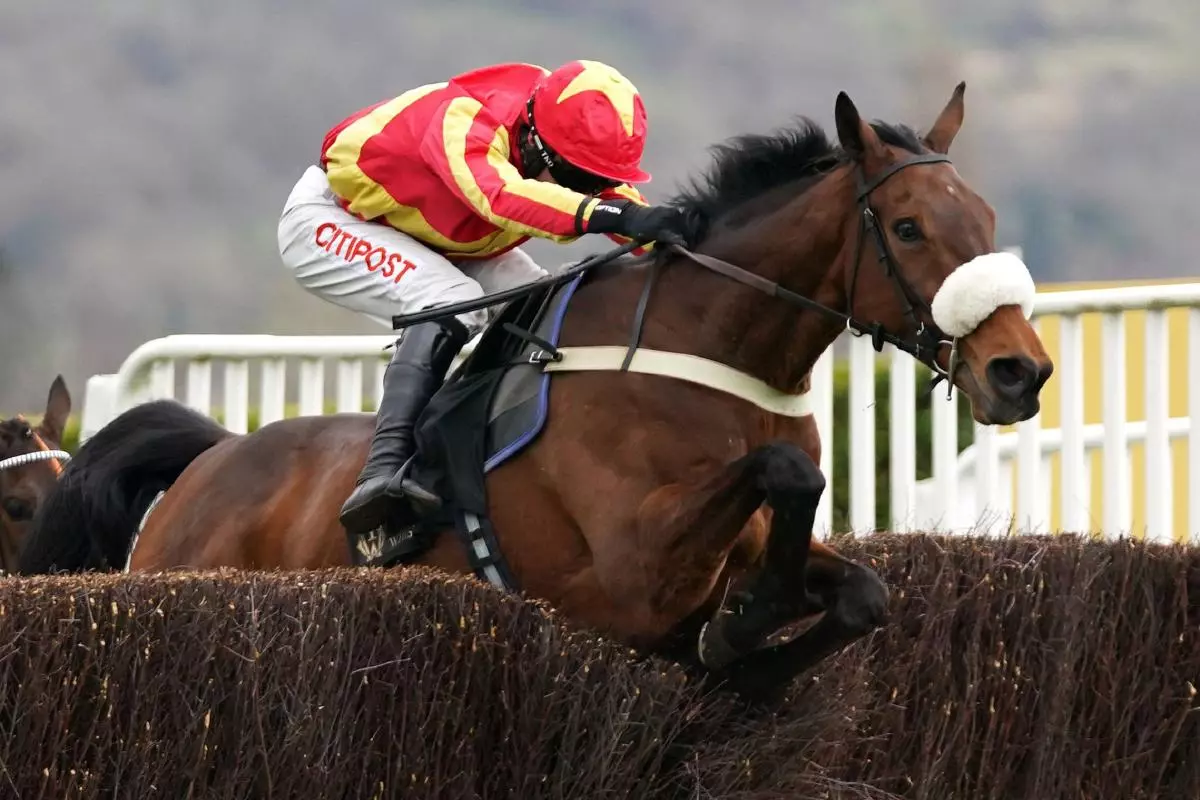 Coole Cody ridden by Adam Wedge