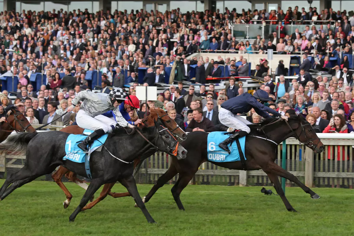 Newmarket Rowley Mile