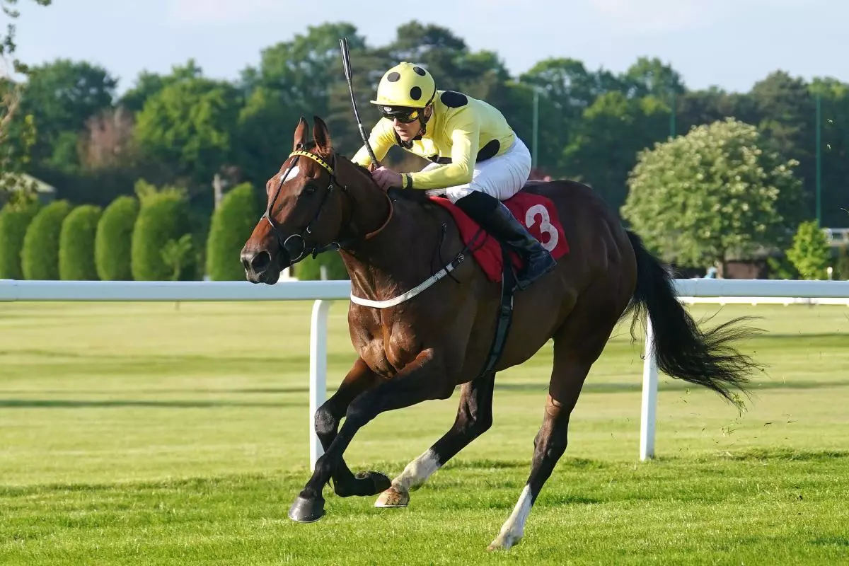 Elite Status ridden by jockey Clifford Lee wins the Racehorse Lotto National Stakes during Brigadier Gerard Evening at Sandown Park Racecourse - May 2023