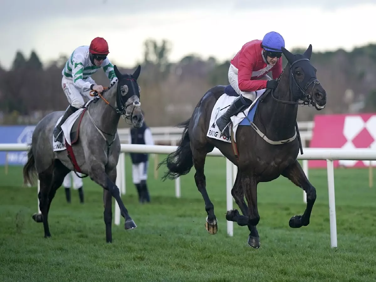 Ferny Hollow and Paul Townend beating Riviere D'etel and Jack Kennedy in the Grade 1 Racing Post Novice Chase at Leopardstown