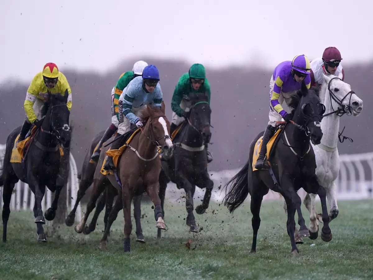 Runners and riders during the Betfair Fighting Fifth Hurdle during the Fighting Fifth Hurdle Day at Newcastle Racecourse.