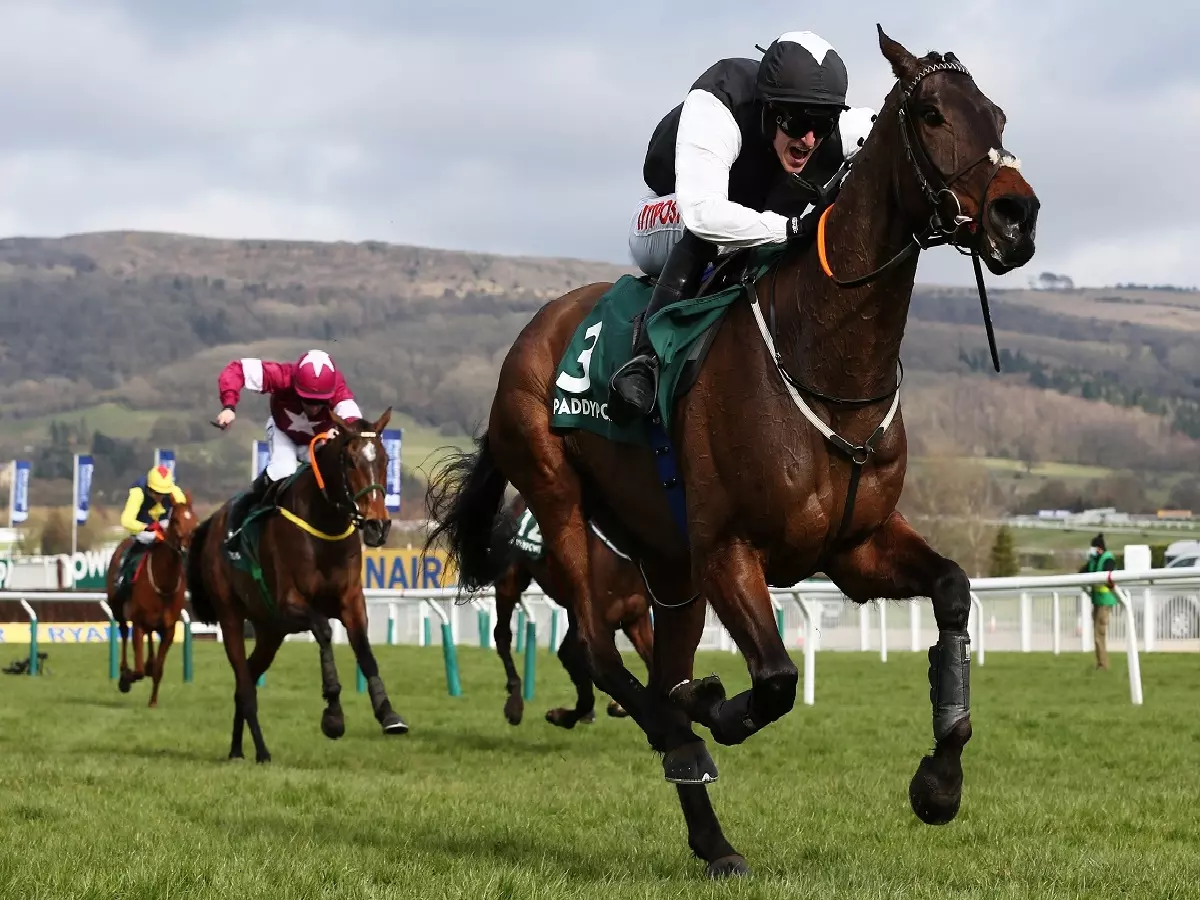 Flooring Porter and Danny Mullins winning the 2021 Stayers' Hurdle at Cheltenham