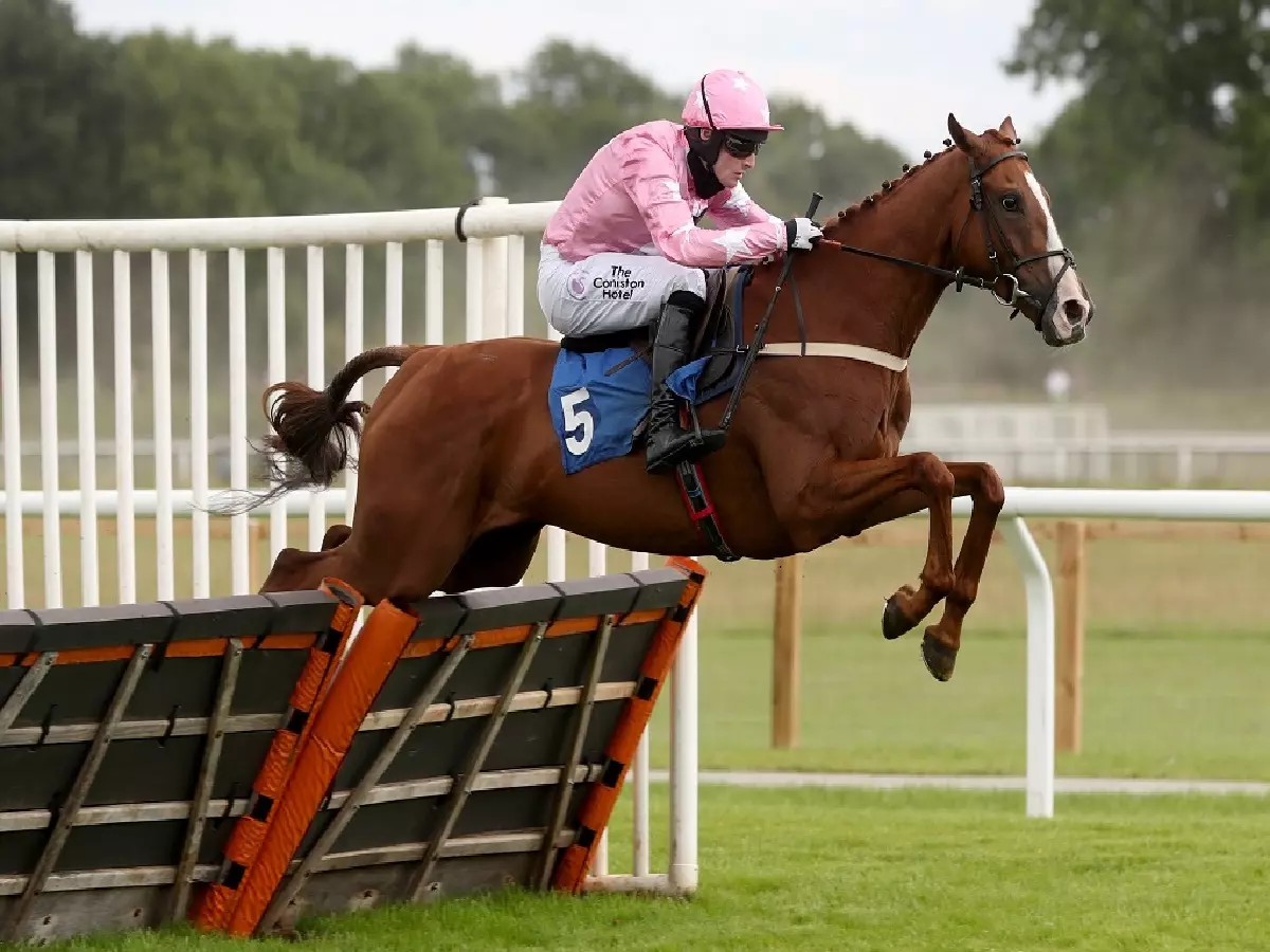 For Pleasure and Harry Bannister