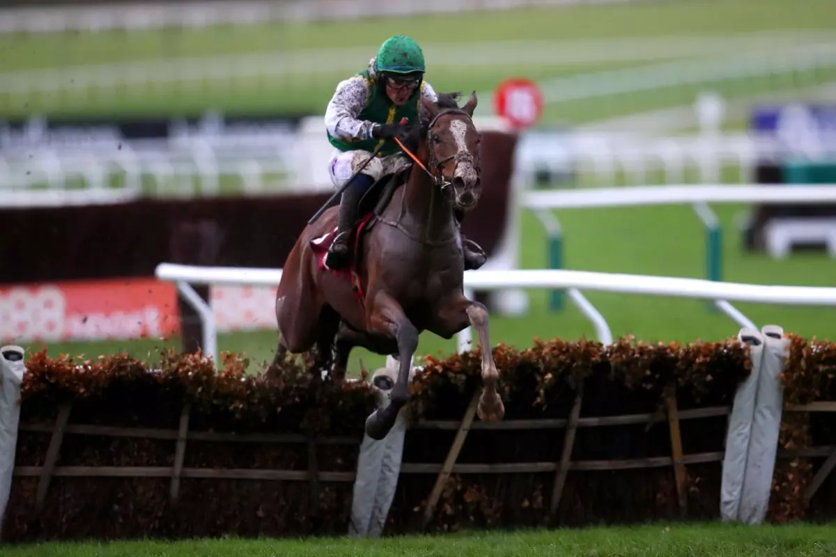 French Dynamite ridden by Robbie Power wins The Seamus Meade Hurdle at Leopardstown