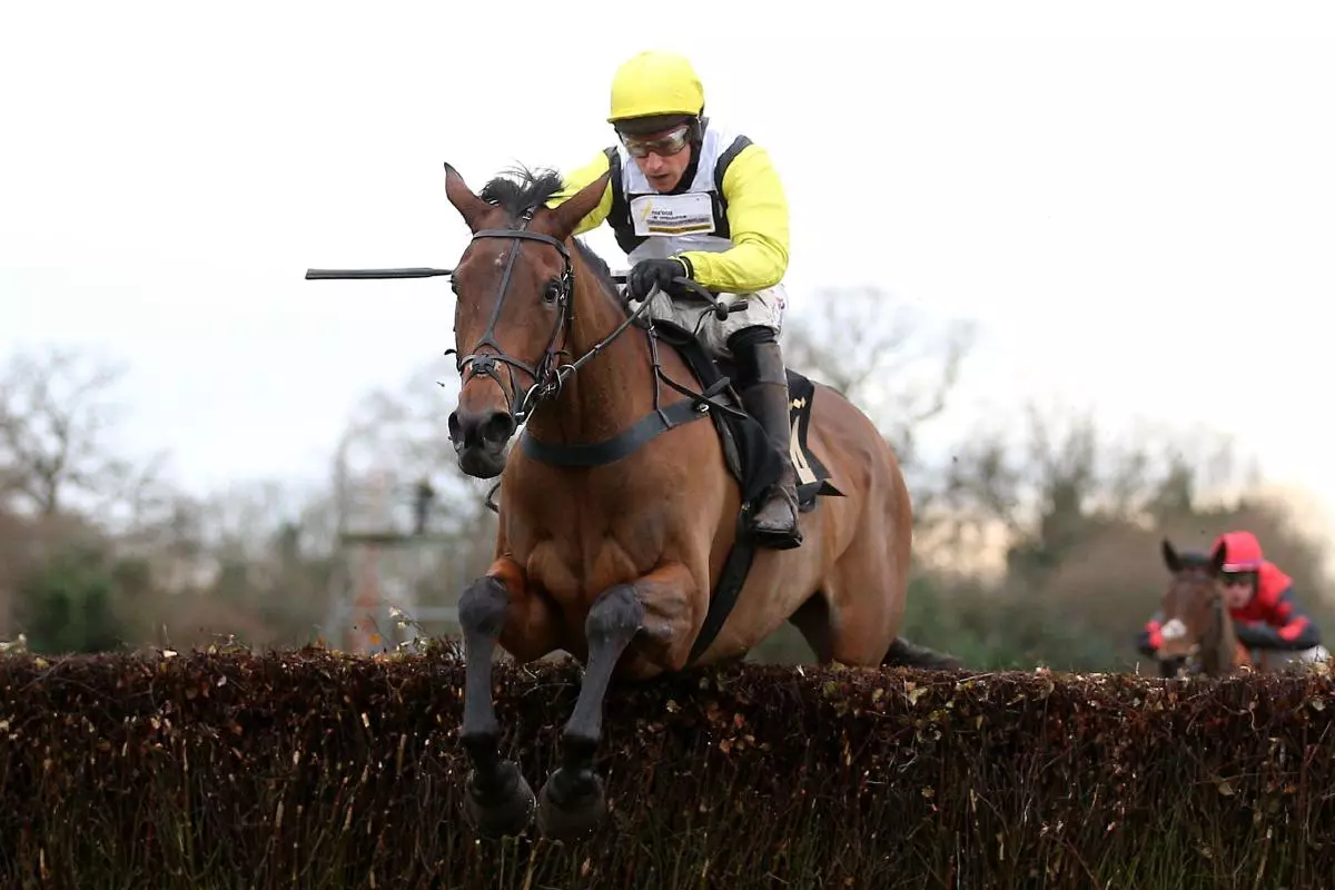 Galia Des Liteaux ridden by Harry Skelton at Warwick