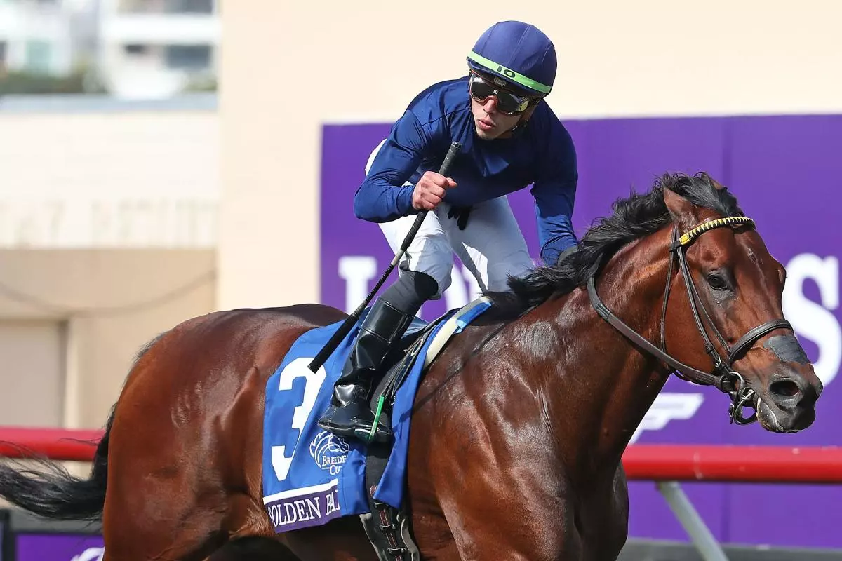 Golden Pal ridden by Irad Ortiz jr wins the Breeders Cup Turf Sprint