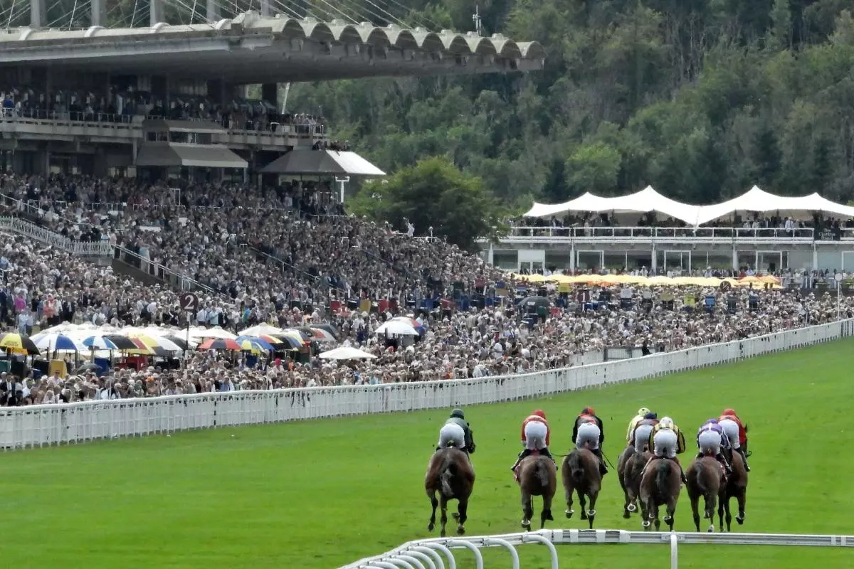 Goodwood racecourse