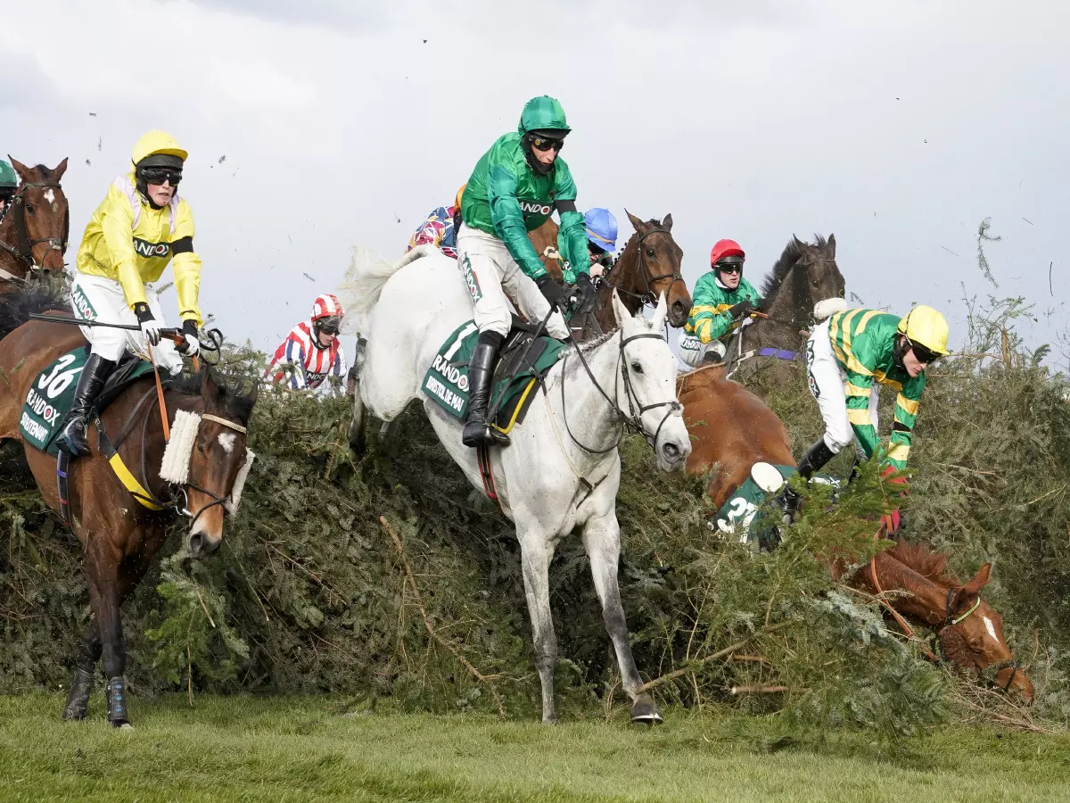 grand national