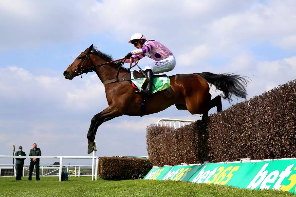 Greaneteen, Celebration Chase