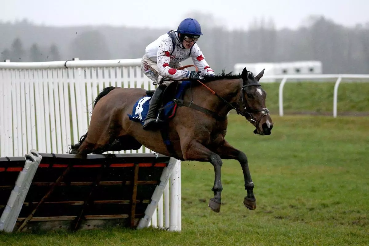 Hermes Allen ridden by Harry Cobden wins the Coral Challow Novices' Hurdle at Newbury