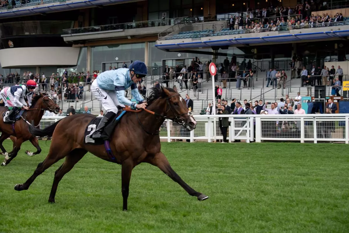 Horse Atrium ridden by jockey Kieran Shoemark - March 2023