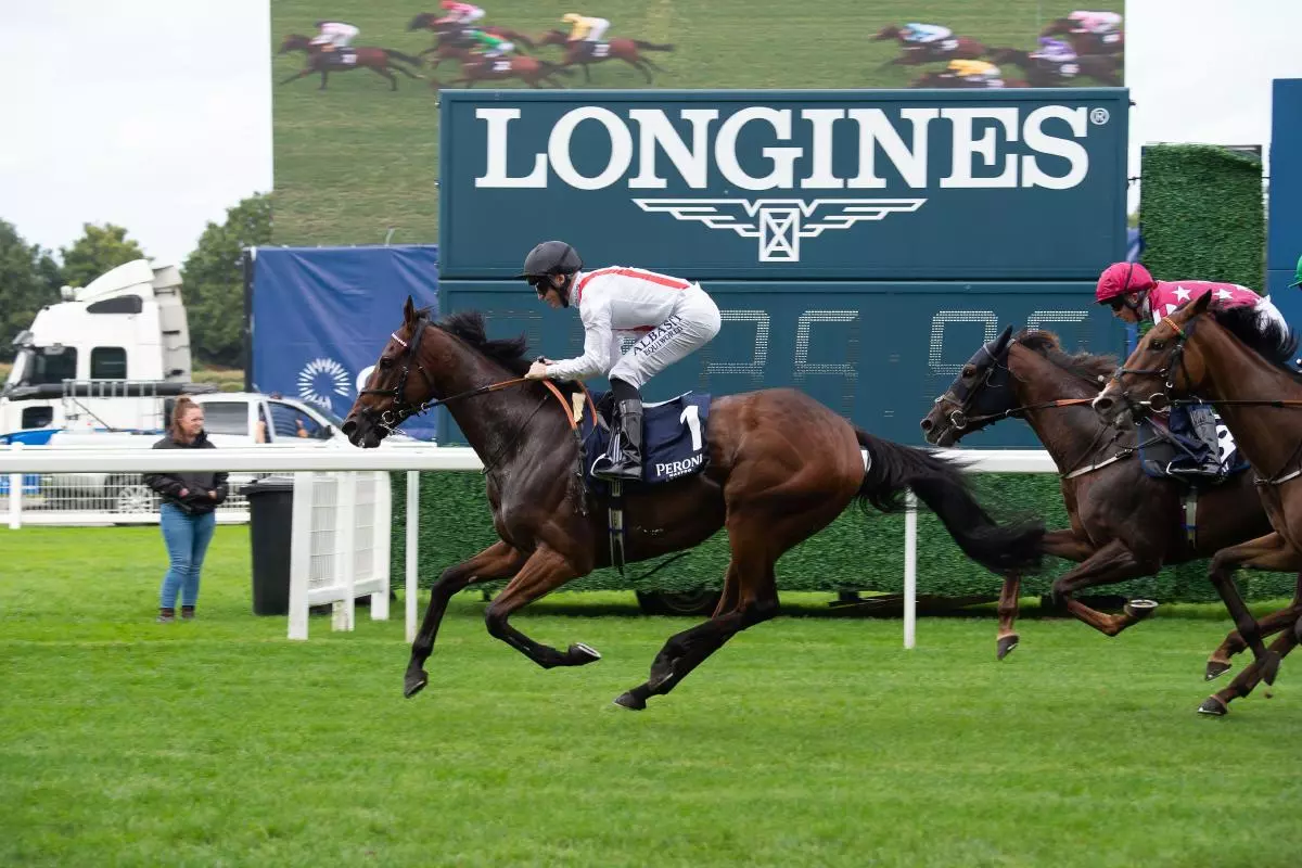 Horse Hamish ridden by jockey Pat Dobbs wins the Peroni Nastro Azzurro Cumberland Lodge Stakes at Ascot Races - October 2022